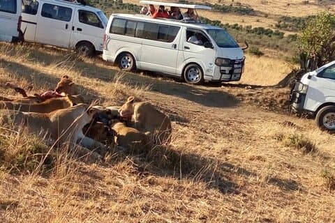 Nairobi Nationaal park tour