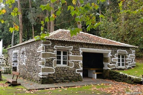 Halvdags West Side Tour i Terceira Island