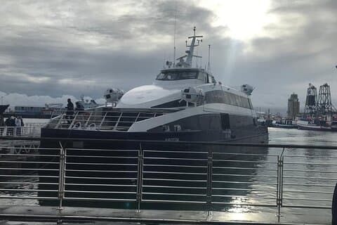 Tour de medio día a la isla Robben con boleto (s) reservado (s)