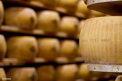 Scopri le Vacche Rosse: Parmigiano Reggiano e Pranzo Emiliano