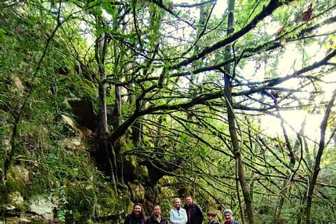 Waldbaden im Prades-Gebirge