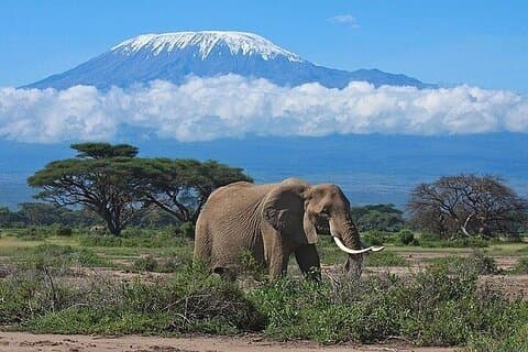 3-Daagse Groepssafari Avontuur naar Amboseli Nationaal Park