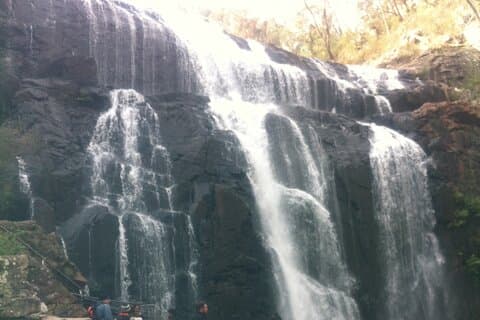 Melbourne : Private Grampian Nationalpark Touren.