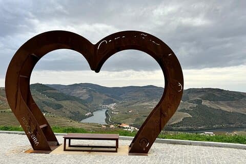Tour de degustação exclusiva de vinhos do Vale do Douro no Porto - WOW -