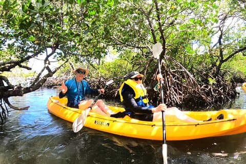 Noosa Heads: Epic Hidden Waterways & Wildlife Kayak Tour