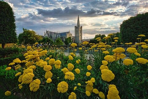 Sendero de arte privado de Dublín: Clásico a Contemporáneo