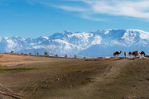Tour al atardecer por el desierto de Agafay con paseo en camello, cena y espectáculo