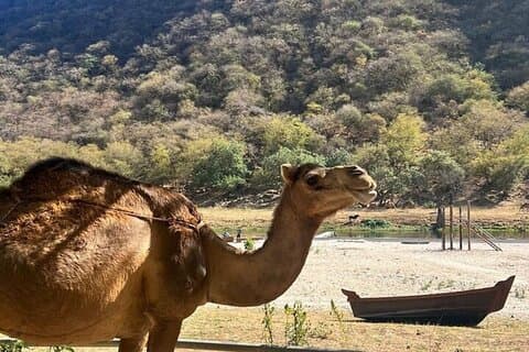 5 Hours of East Salalah Best (Private Tour)