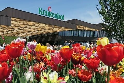 Private Keukenhof Tour Fra Amsterdam Skip-the-line billetter inkl!