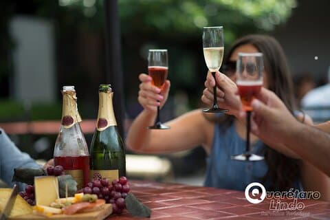 Excursão de um dia inteiro dedicada ao vinho e queijo em Querétaro.