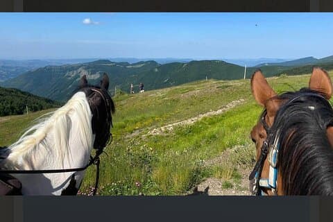 トスカーナの丘陵地帯での乗馬