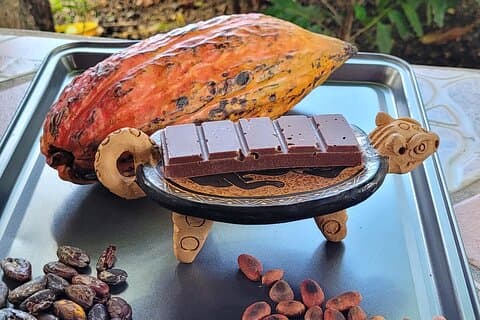 Passeio de 2 horas com café e chocolate em Playas del Coco