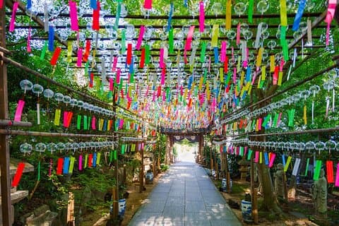 Yufuin, Beppu Hell Tour met meer en tempel vanuit Fukuoka