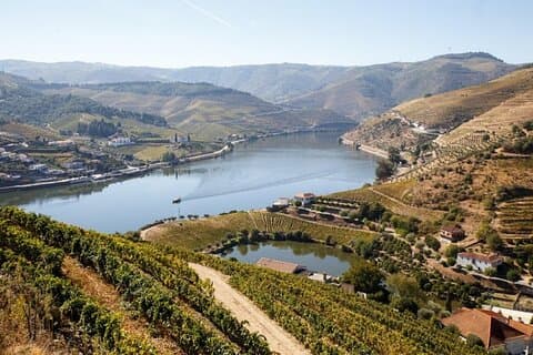 Douro Valley Exclusive and Sustainable Experience from Porto