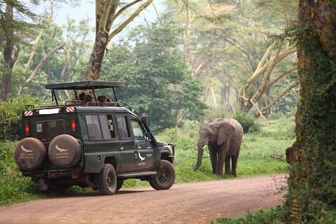 6 Tage Masai Mara Serengeti und Ngorongoro auf 4x4 Landcruiser