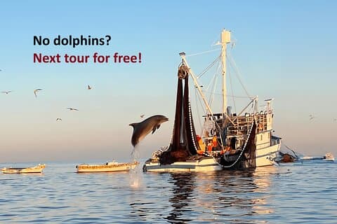 Excursion privée en bateau avec les dauphins et les pêcheurs au travail à Rovinj