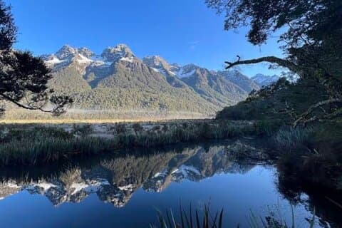 Milford Sound Small Group Day Tour From Queenstown