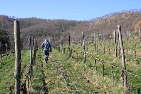 Heroic Wine tasting, Limited edition Tuscan Wine.