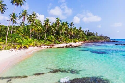 Colombo à Madu River & Galle | Excursion d'une journée tout compris