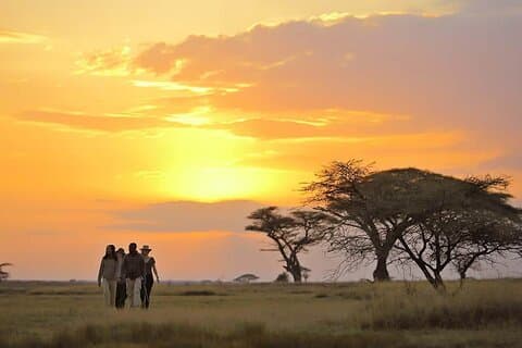 4 Días Uniendo Safari de Maravillas Salvajes Serengeti y Ngorongoro