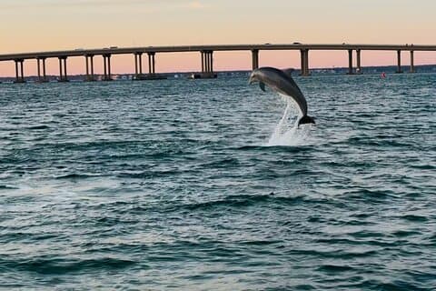 Destin Harbor Sightseeing Boat Ride with Captain