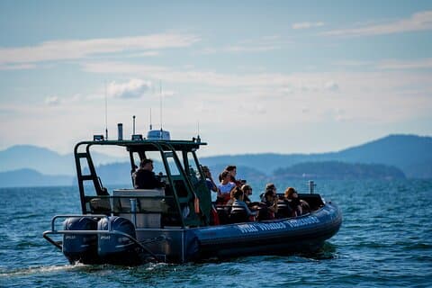 Experiencia íntima de avistamiento de ballenas en la costa oeste de Vancouver