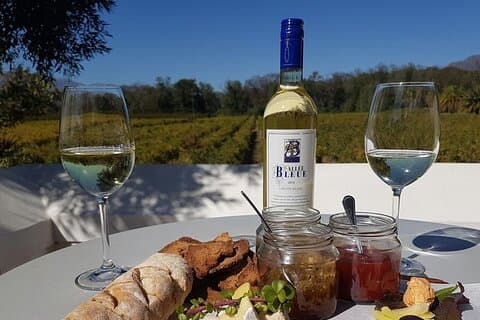 Privétour naar Robbeneiland en Constantia wijnproeverij