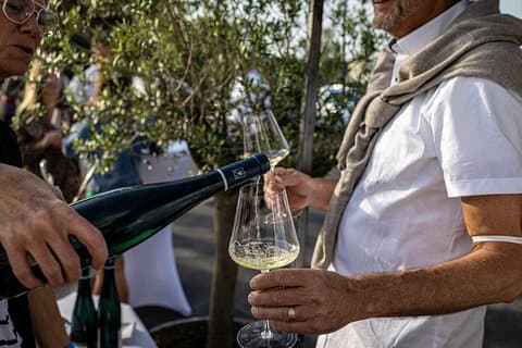 Visita guiada de día completo a Stellenbosch y Franschhoek