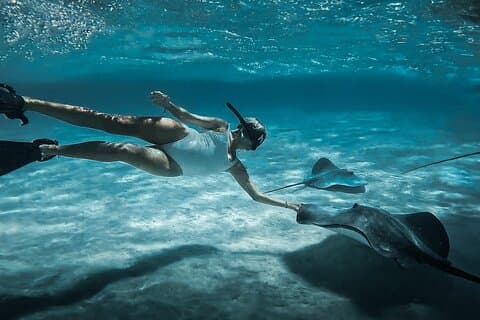 Moorea Private Half Day Snorkeling Experience