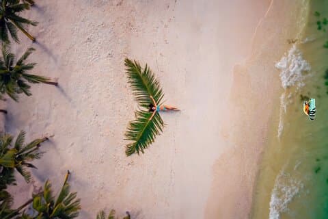 Beach Angel Palm Drone fotoshoot