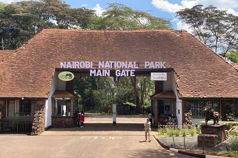 Parco nazionale di Nairobi Mezza giornata Game Drive con prelievo gratuito