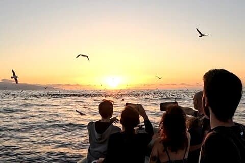 San Miguel: Sunset Boat Tour – Golden Light, Cliffs & Caves