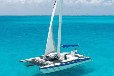 Experiencia en catamarán privado! Buffet y barra libre ilimitada
