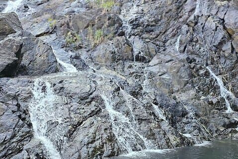 Chasing Waterfalls Experience in Tobago