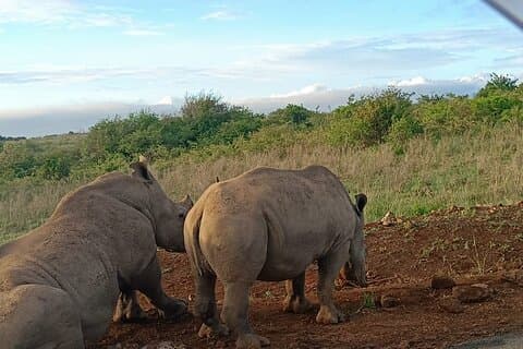 Visita guiada ao Parque Nacional de Nairobi