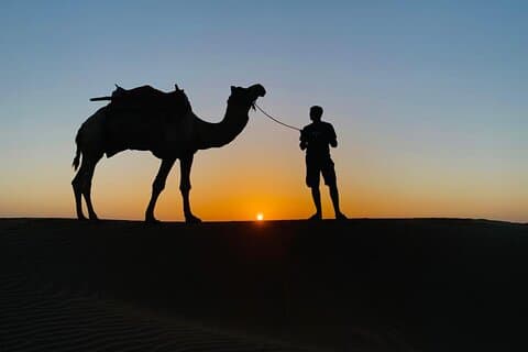 3 Tage und 2 Nächte Shivas Wüstensafari