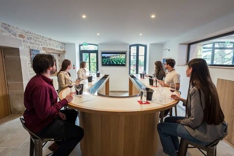 Private wine tasting workshop in Bourgogne
