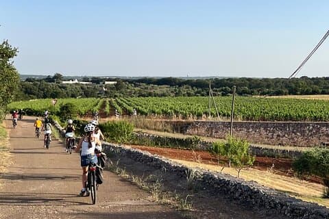 Locorotondo to Alberobello E Bike Tour