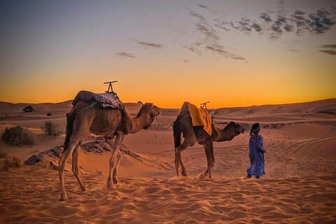 Excursion de luxe privée dans le désert de 3 jours et 2 nuits de Fès à Marrakech