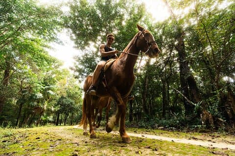 Horseback Ride, ATV, Ziplines & Cenote from Tulum
