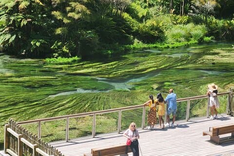 Private Tour WaiOtapu & Huka Falls & Blue Springs ab Auckland