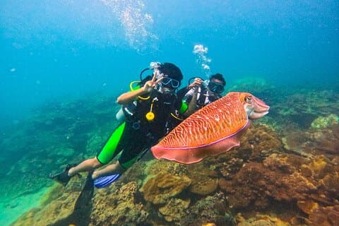 Phuket Dykning Maiton Private Island Liten grupp eller Snorkel