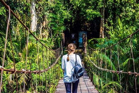 Excursion d'une journée au parc national de Khao Yai au départ de Bangkok