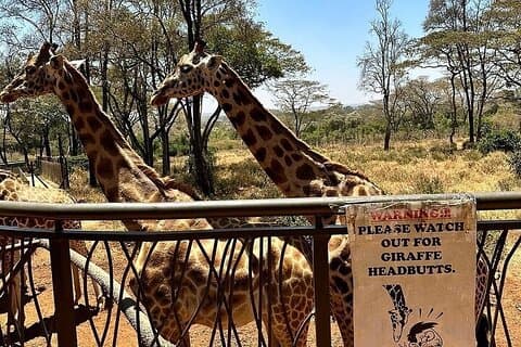 Hoteller i nærheden af Nairobi National Park, Baby Elephant Orphanage and Giraffe Centre