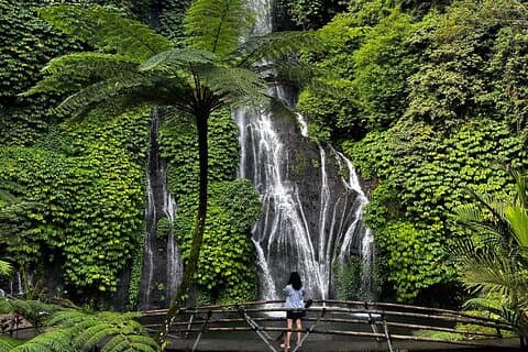 Nordbali Ulundanu Tempel, Handara Tor , Wasserfall