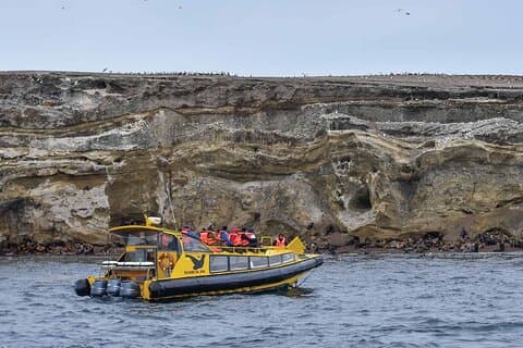 Magdalena Island Penguin Boat Tour and Marta Island