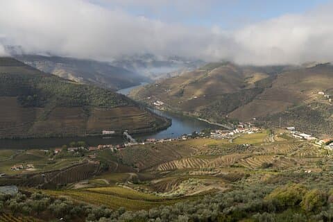 Escursione a Pinhão