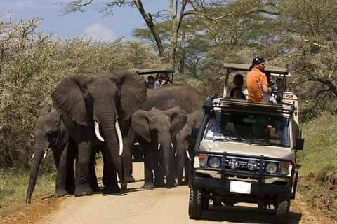 Hotell nära Tsavo East National Park Safari