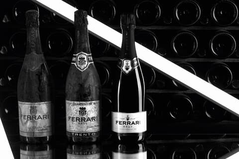 Ferrari Winery Tour & Local Lunch Near the Dolomites