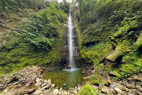 Discover Yanacocha and Tamandua Amazon Full Day Tour from Baños